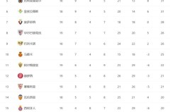 足球场上的明星之光：佩德里天赋与努力的足坛独特地位